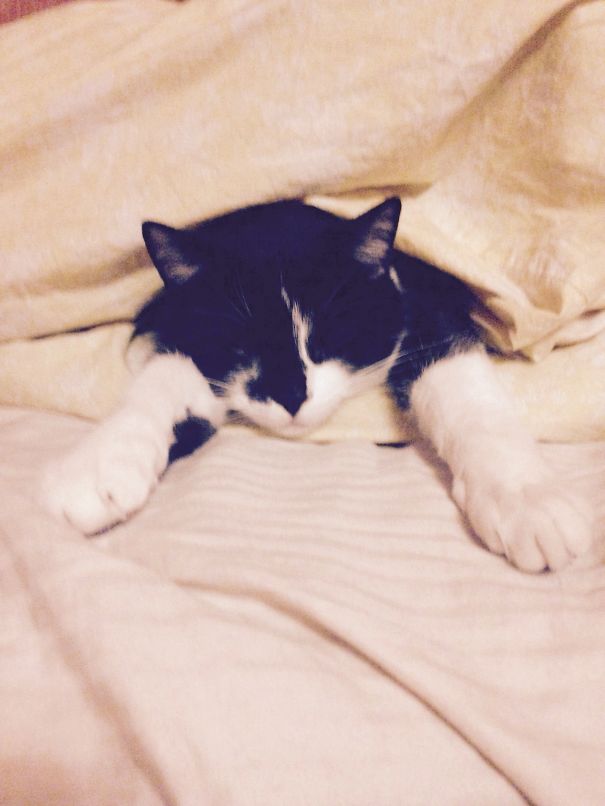 Parents Bed - That's The Warmest Place