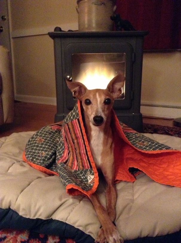 Staying Warm During A Long, Cold Winter