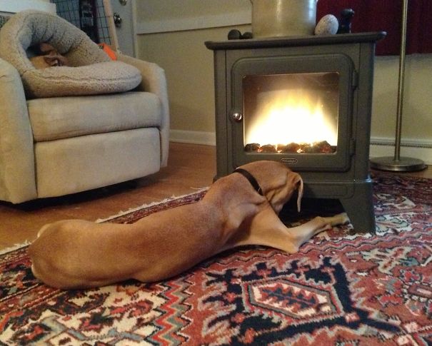 All Hail The Mighty Heater