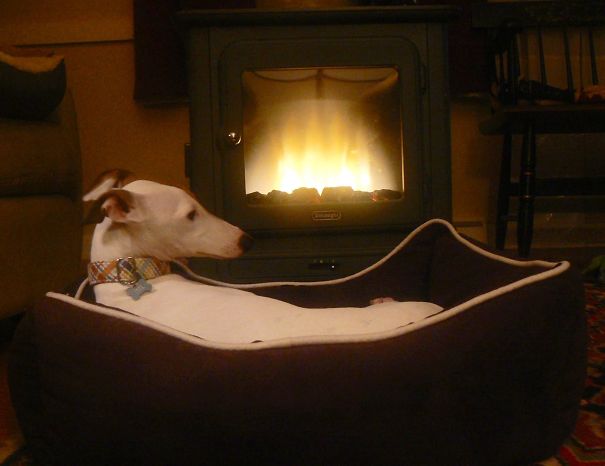 Best Spot In The House