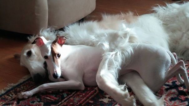 I'll Keep You Warm, Little Buddy