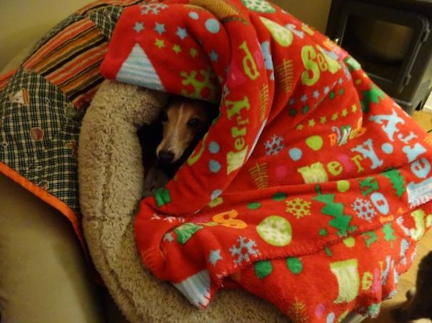 Please Can You Turn Up The Heat, Or Give Me Another Blanket?