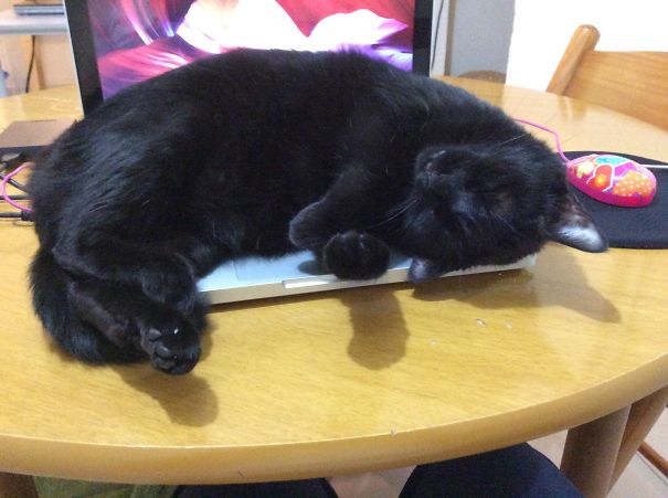 No, You Don't Need To Work Right Now!