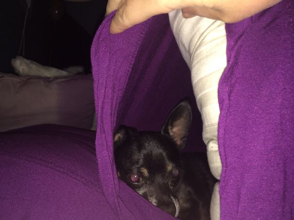 Finding Warmth In The Pillow Case