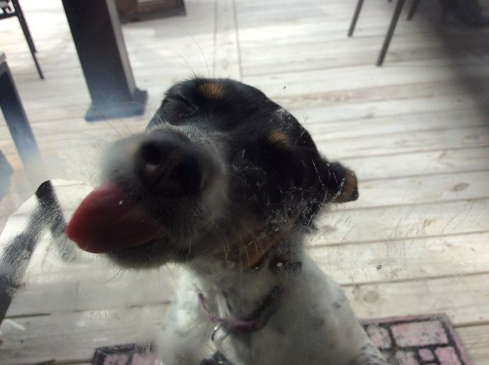 How Does That Glass Taste?