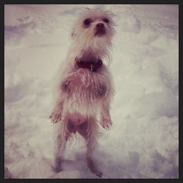 When You Make Me Walk In Snow I Believe It Is Because You Do Not Love Me.