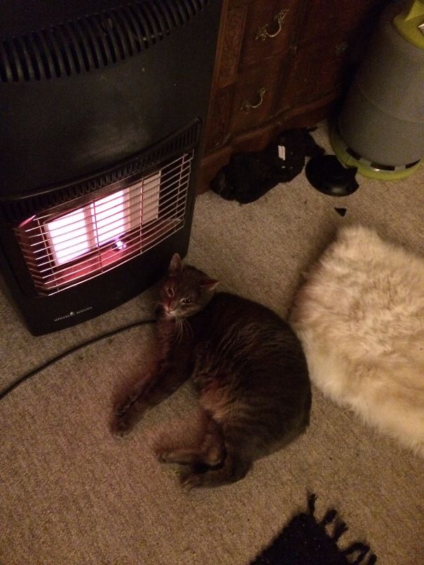 Toasty