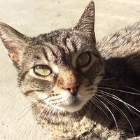 California10978 avatar