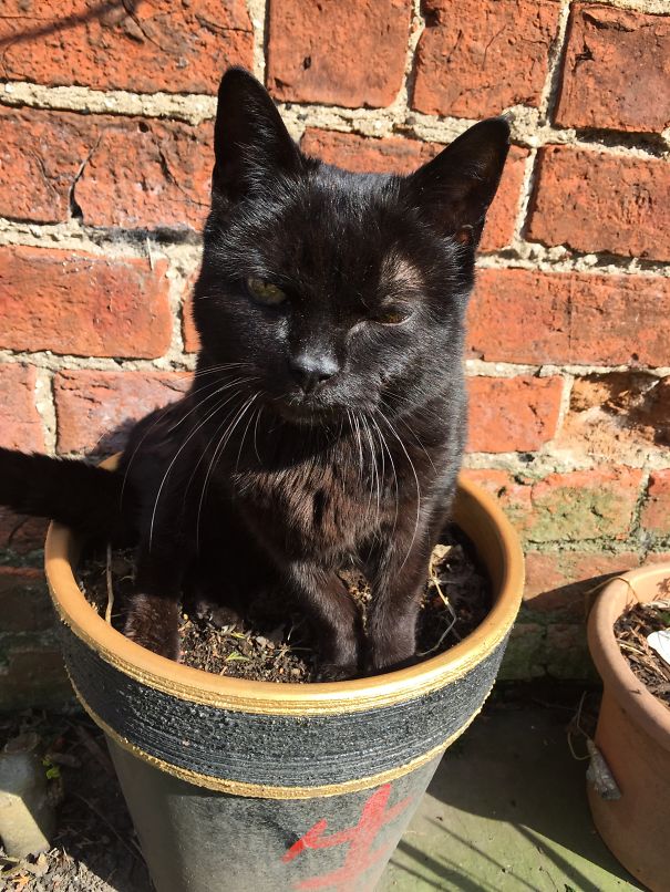 Water Me! I Dare You!