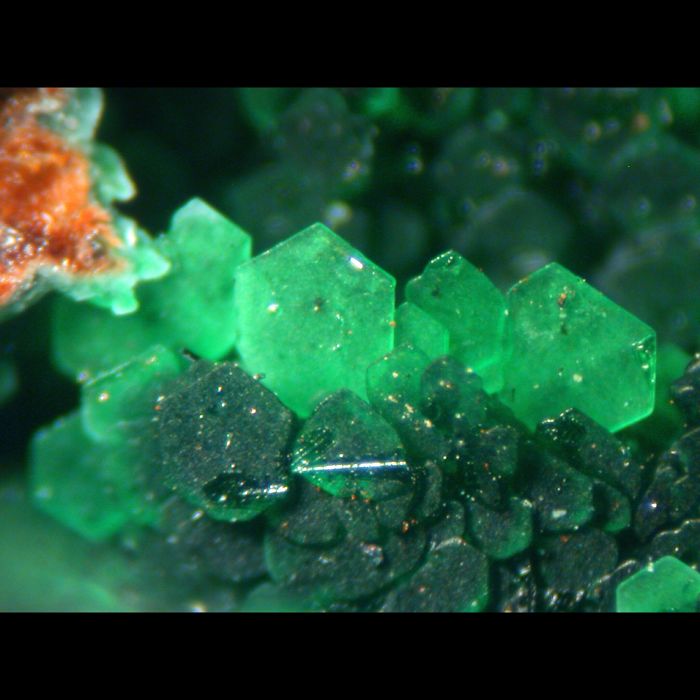 Vivid green mineral crystals showcasing unique hexagonal formations in a close-up view.