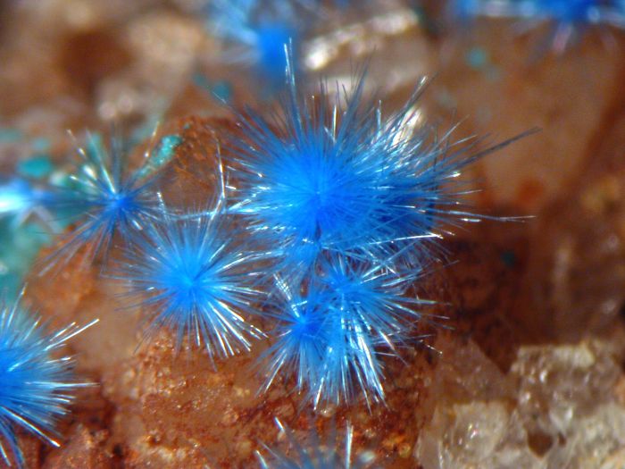 Bright blue mineral clusters resembling fluffy stars on a rough, brown stone surface.