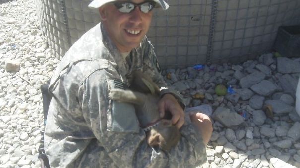 My Husband Found A Monkey!