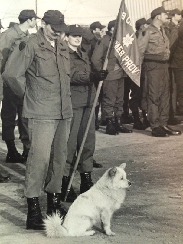Our Mascot Fang In Camp Humphries South Korea 1980