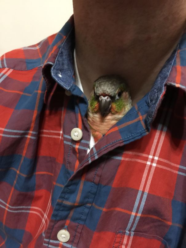 Human Neck Is The Best