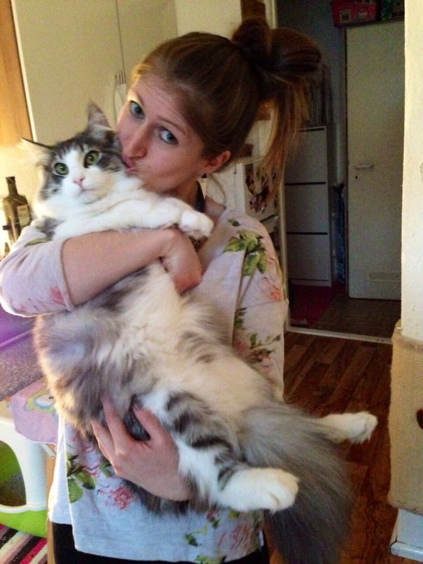 Salem My 'kuschelklops'