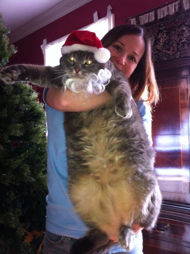 "he Was Chubby And Plump, A Right Jolly Old Elf, And I Laughed When I Saw Him In Spite Of Myself."