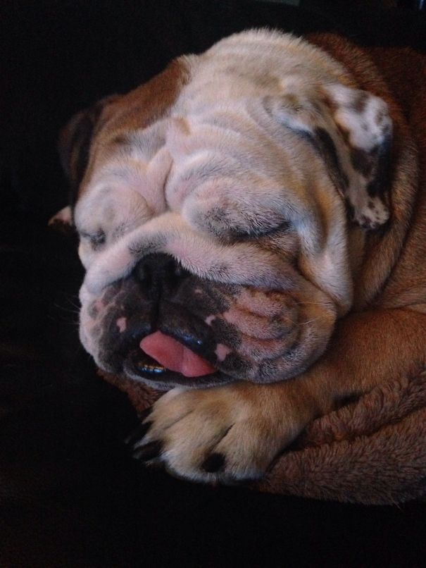 Mom I Don't Want To Wake Up