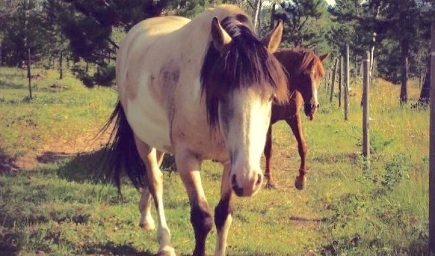 Nobody Puts Baby In The Corner