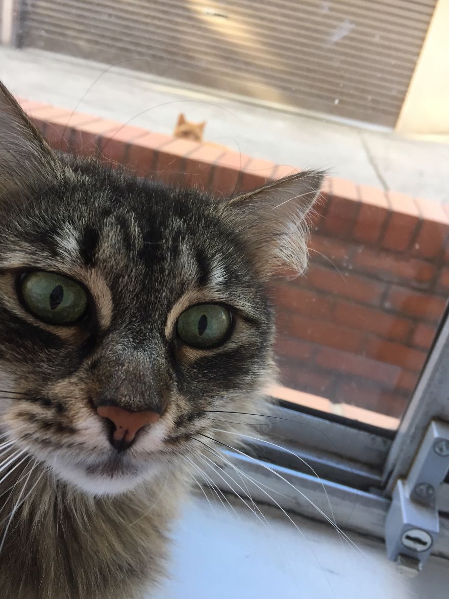 There's Someone Behind Me Isn't There?