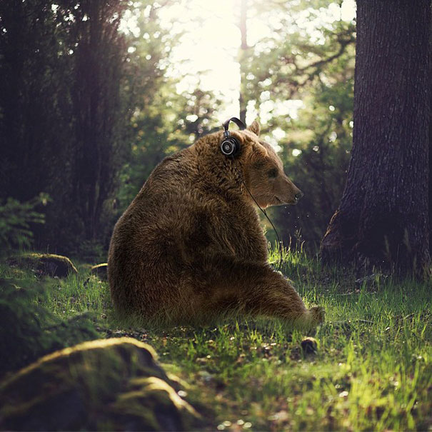 imaginary-world-photo-manipulations-ted-chin-20 imaginary-world-photo-manipulations-ted-chin-20