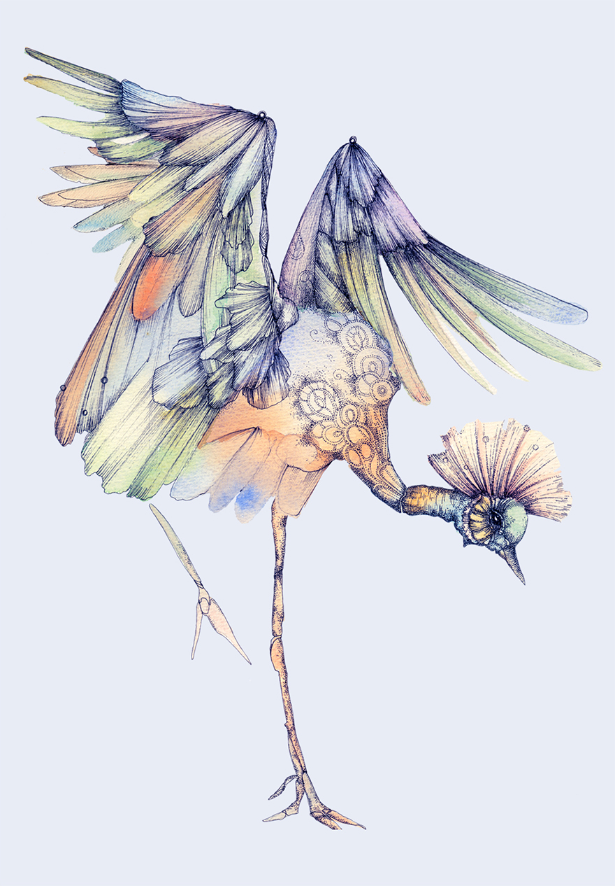 ink-watercolor-paintings-birds-juli-jah2