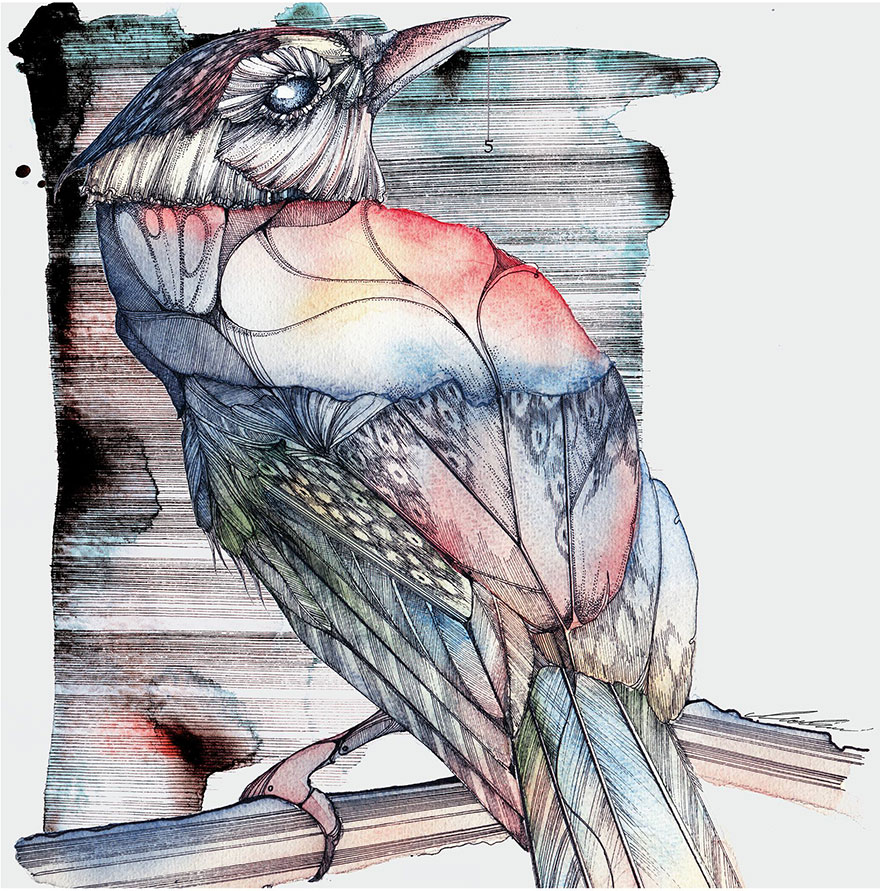 ink-watercolor-paintings-birds-juli-jah3