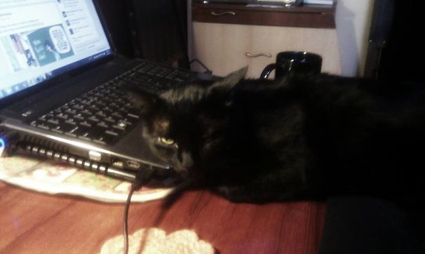 Taking Care Of The Laptop