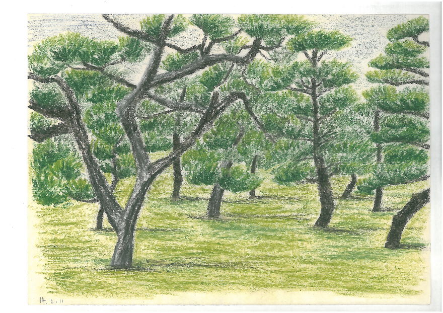 I Explore The Possibilities Of Drawing