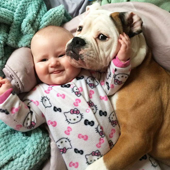 Baby With Dog