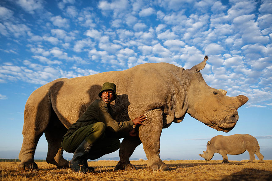 last-northern-white-rhinoceros-conservation-rangers-kenya-2 last-northern-white-rhinoceros-conservation-rangers-kenya-2
