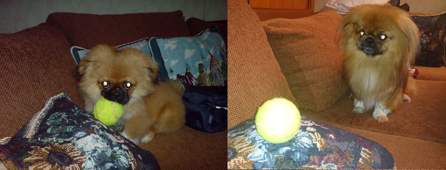 Leo: 5 Months - 5 Years