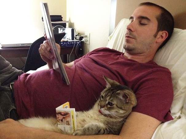 Just My Neighbor And His Cat Reading