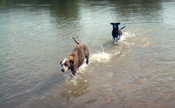 Lila&loli, Sisters And Best Friends