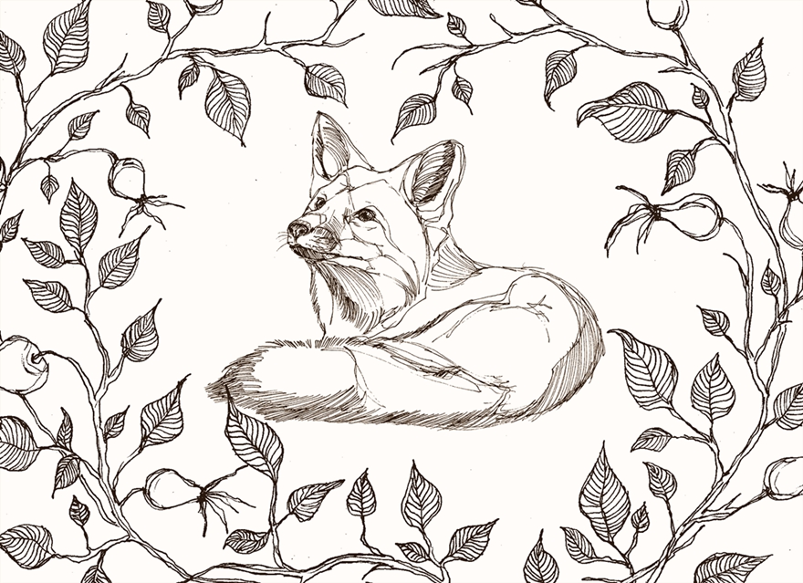 My Line-Art Animals With A Touch Of Fantasy