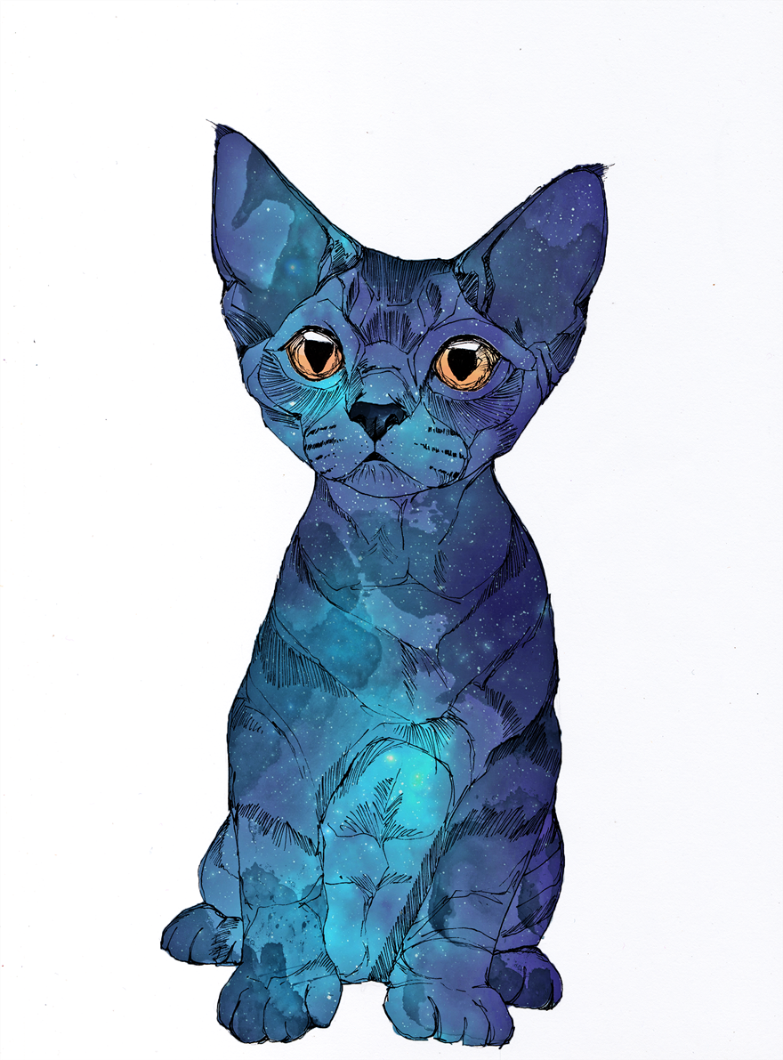 My Line-Art Animals With A Touch Of Fantasy My Line-Art Animals With A Touch Of Fantasy