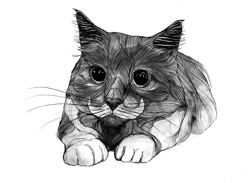 My Line-Art Animals With A Touch Of Fantasy My Line-Art Animals With A Touch Of Fantasy