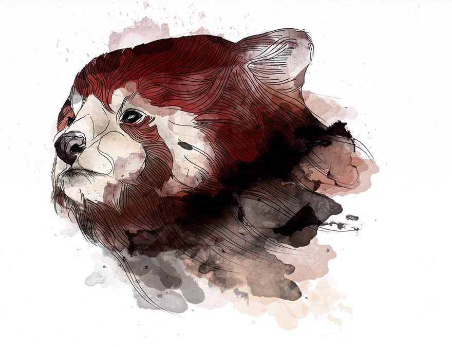 lineart-animals-drawings-maooart-alexandra-laza-9