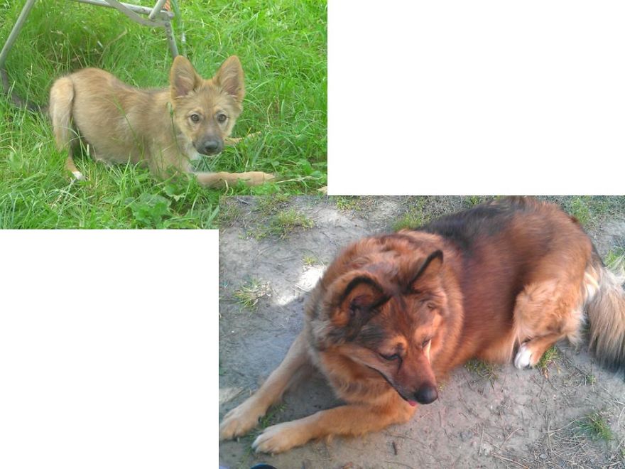 Wendy Then And Now - 9 Years Between