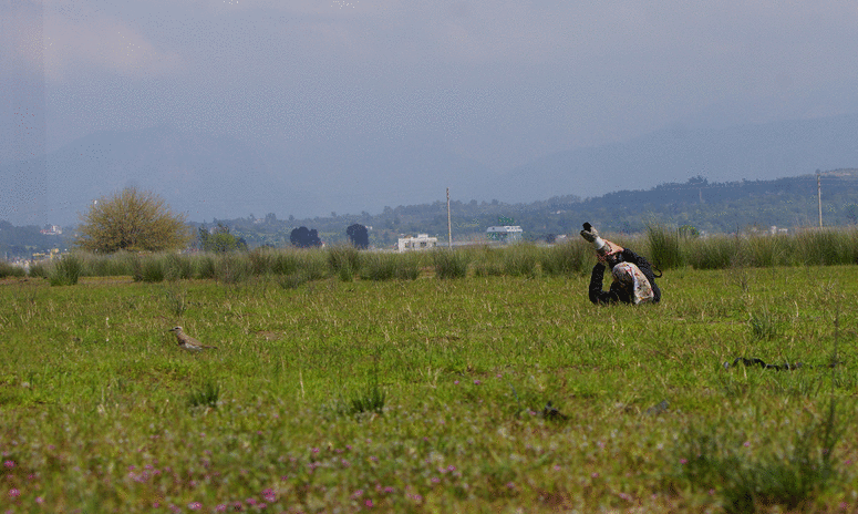 Bird Photographer :)