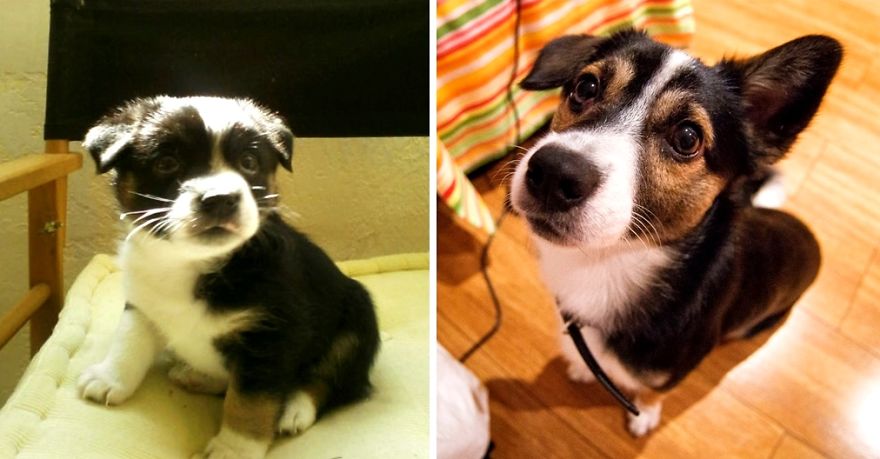 Perri. Before And After.