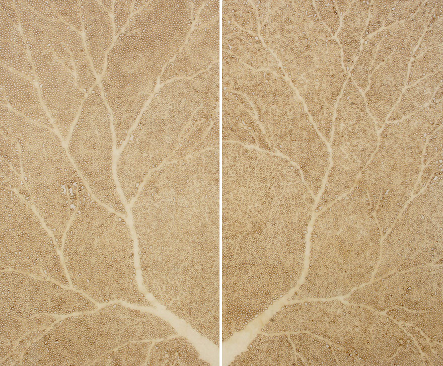 Artist Burns Holes In Paper With Incense Sticks To Create Amazing Art Artist Burns Holes In Paper With Incense Sticks To Create Amazing Art