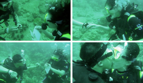 While Scuba Diving, He Pulled Out These White Boards With Writing On It And A Ring!