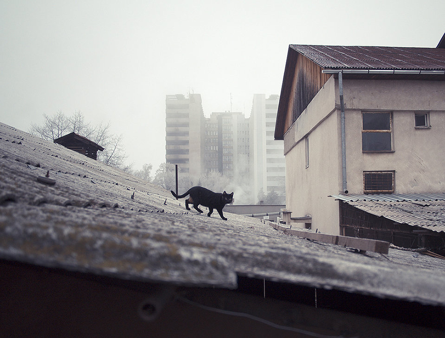 romania-villages-funny-photography-hajdu-tamas-20 romania-villages-funny-photography-hajdu-tamas-20