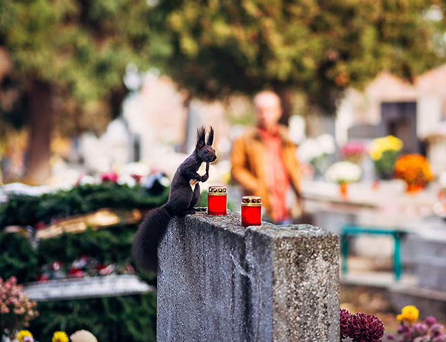 romania-villages-funny-photography-hajdu-tamas-24 romania-villages-funny-photography-hajdu-tamas-24