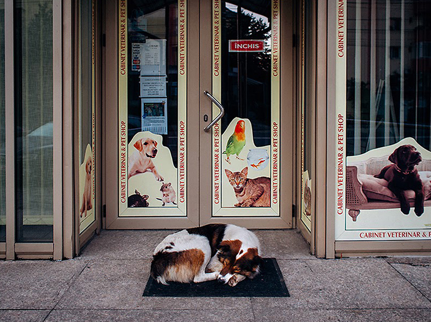 romania-villages-funny-photography-hajdu-tamas-25 romania-villages-funny-photography-hajdu-tamas-25