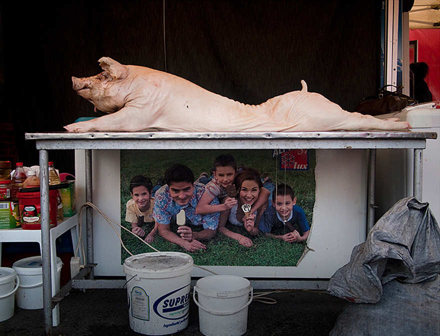 romania-villages-funny-photography-hajdu-tamas-27 romania-villages-funny-photography-hajdu-tamas-27