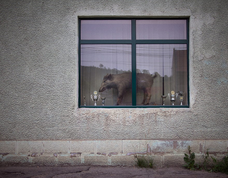 romania-villages-funny-photography-hajdu-tamas-31 romania-villages-funny-photography-hajdu-tamas-31