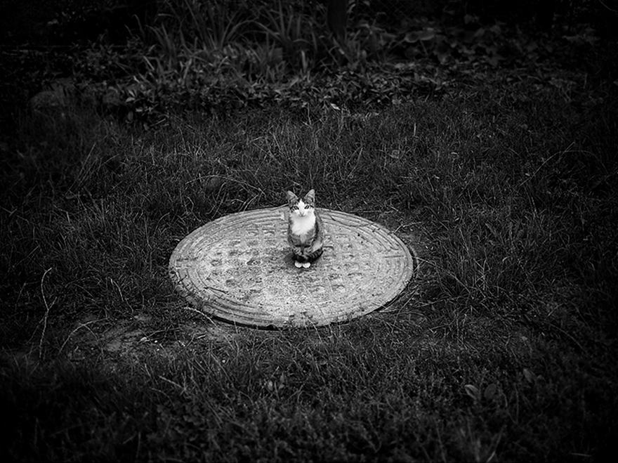 romania-villages-funny-photography-hajdu-tamas-36 romania-villages-funny-photography-hajdu-tamas-36