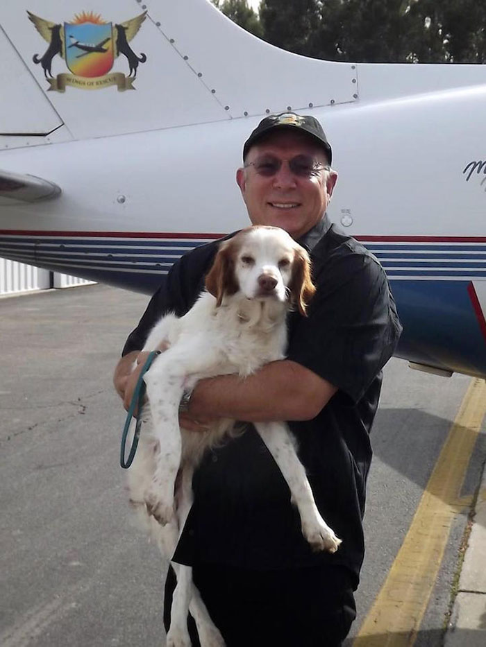 shelter-dog-airplane-transport-wings-of-rescue-yehuda-netanel-9 shelter-dog-airplane-transport-wings-of-rescue-yehuda-netanel-9