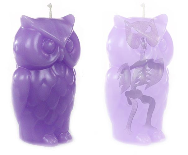 skeleton-candles-angry-owl-robert-scott-2